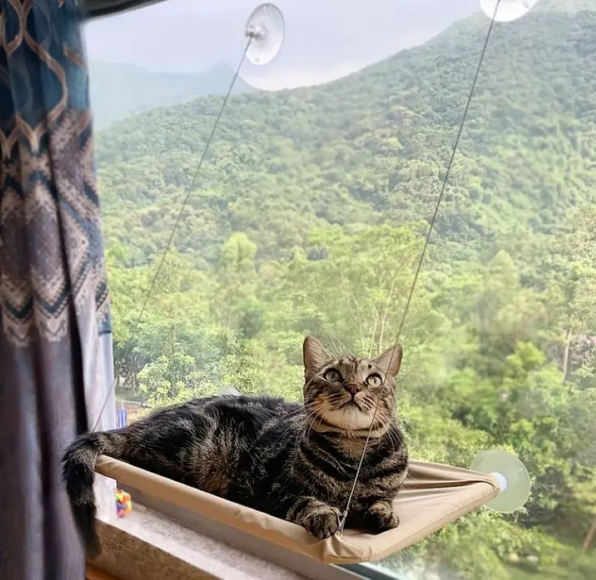 Cama Hamaca Colgante De Ventana Gatos